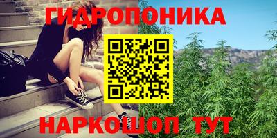 индика Кинель