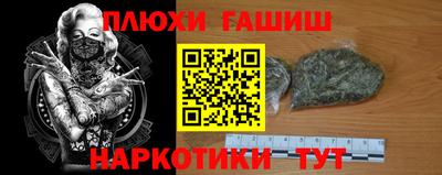 индика Кинель