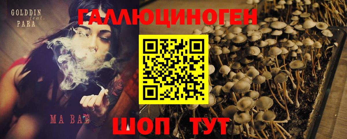 Лабинск  Галлюциногенные грибы Magic Shrooms  Псилоцибиновые грибы Cubensis  Вход с VPN 